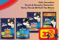 FELİX YAŞ KEDİ MAMASI ÇEŞİTLERİ 85 G fiyat ve kampanya bilgisi